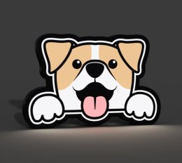 Lampka LED RGB Nocna na biurko Pies PIESEK na prezent